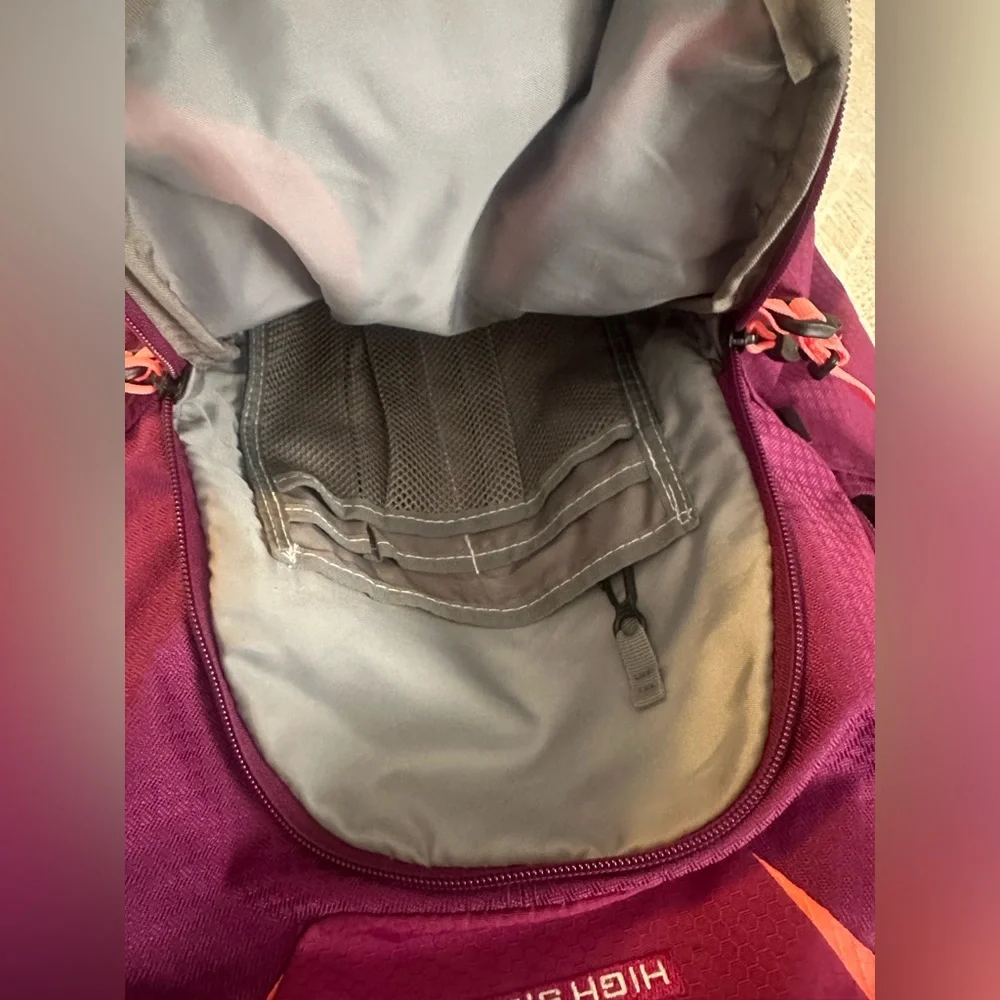 High Sierra 17” Laptop Backpack Padded Computer Student Work Magenta Pink